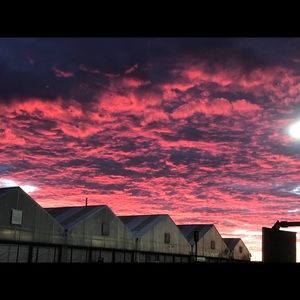 Meet your Posher, Chad